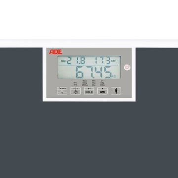 Elektronische Flachwaage Tragkraft 250 kg Teilung 50 g geeicht