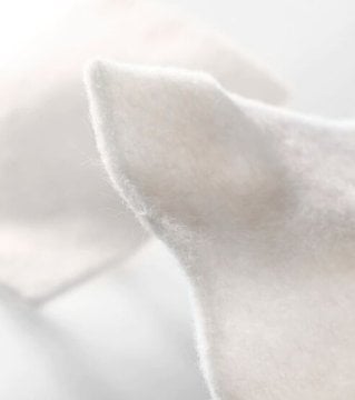 Coloplast Biatain® Alginate Wundverband