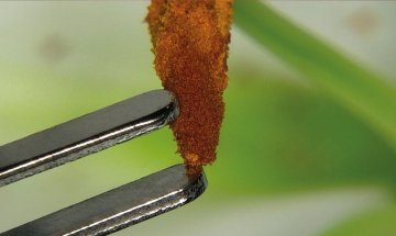 SCHMITZ vidan® 2 Full-HD Videokolposkop