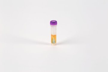 SteriCLIN Pyromol-Test / Pyromol-E-Test