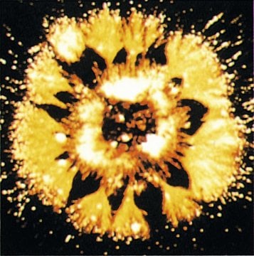 WiduMed Fertignährböden