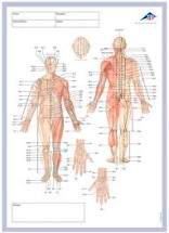 Meridian-Notizblock (50 Bögen)