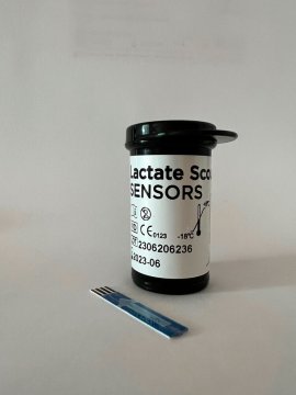 Big Pack 25 Teststreifen in Spenderbox (25 Stück)