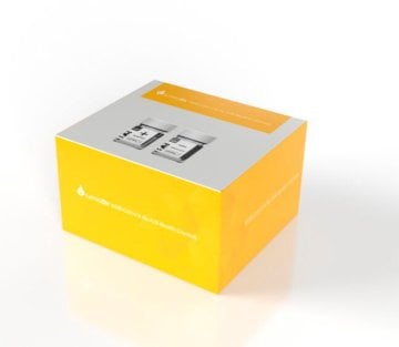 LumiraDx SARS-CoV-2 & Flu A/B Control (2 Stück)