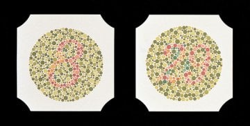 Ishihara Farbtafel mit 38 Tafeln