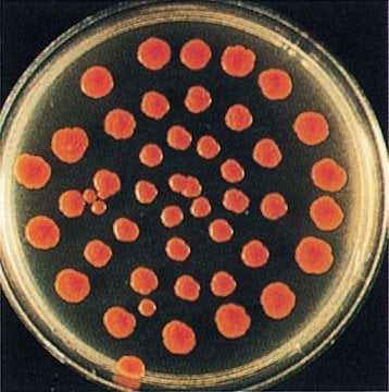 WiduMed Fertignährböden